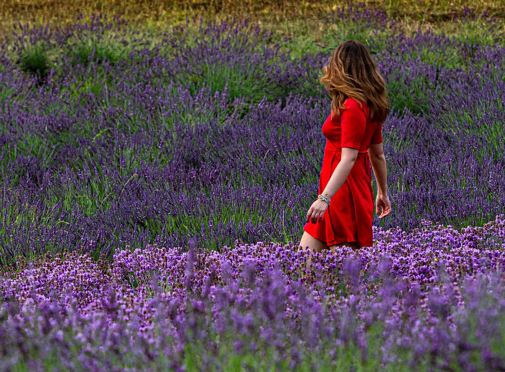 segnalato LAGANA' FRANCESCO _13_3 Nella_lavanda_Sez. I.jpg